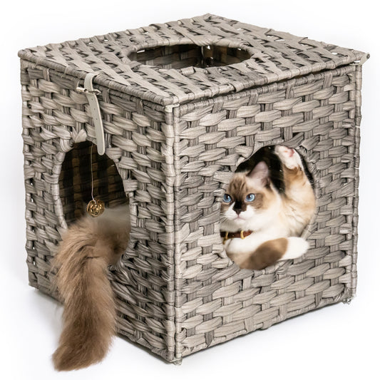 Rattan Cat Bed with Rattan Ball and Cushion