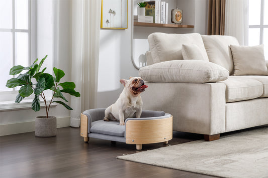 Scandinavian style Elevated Dog Bed Pet Sofa With Solid Wood legs